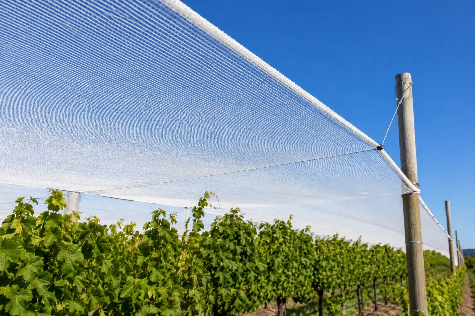 Industrial Netting
