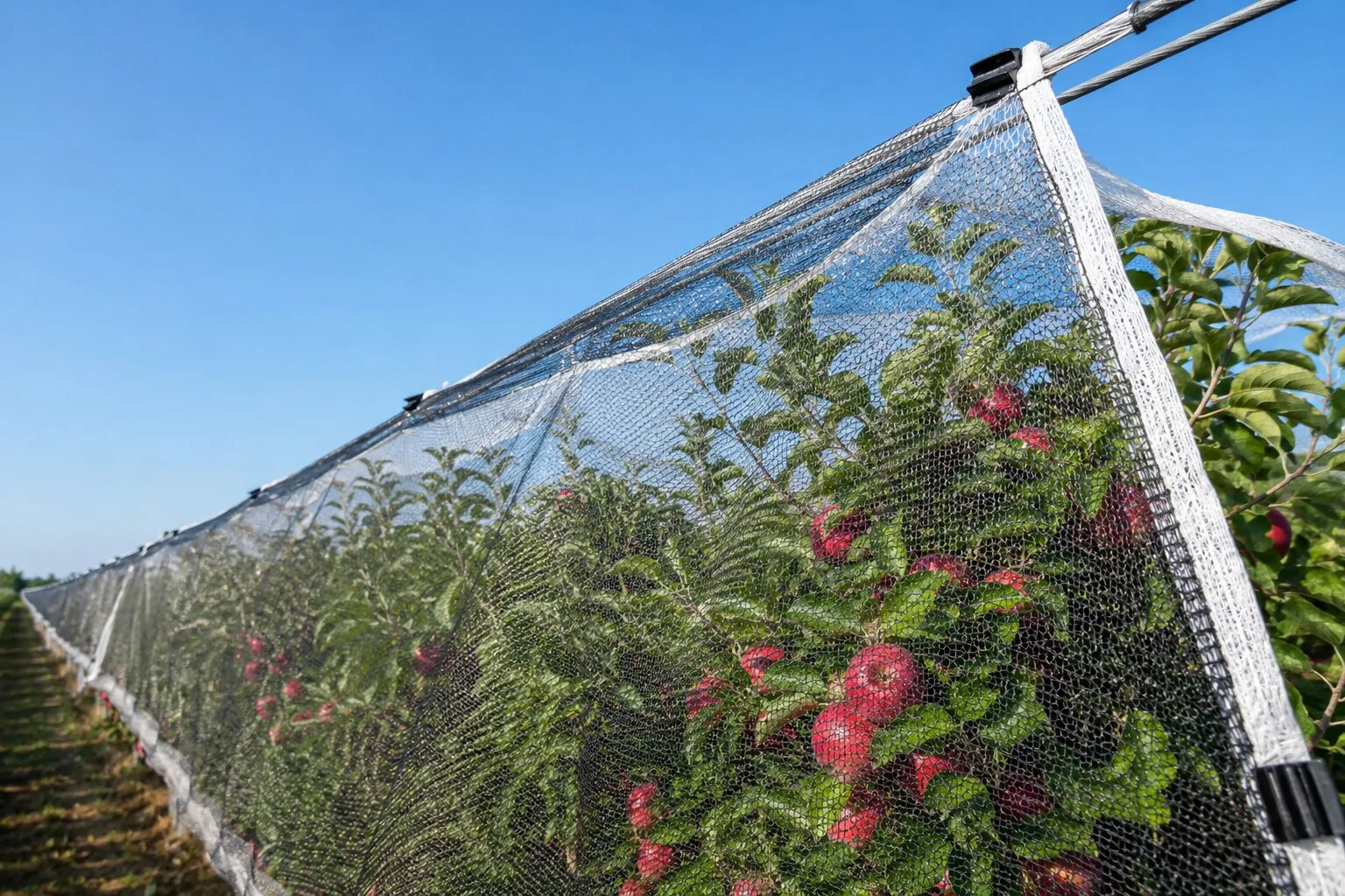 Agricultural & Crop Netting