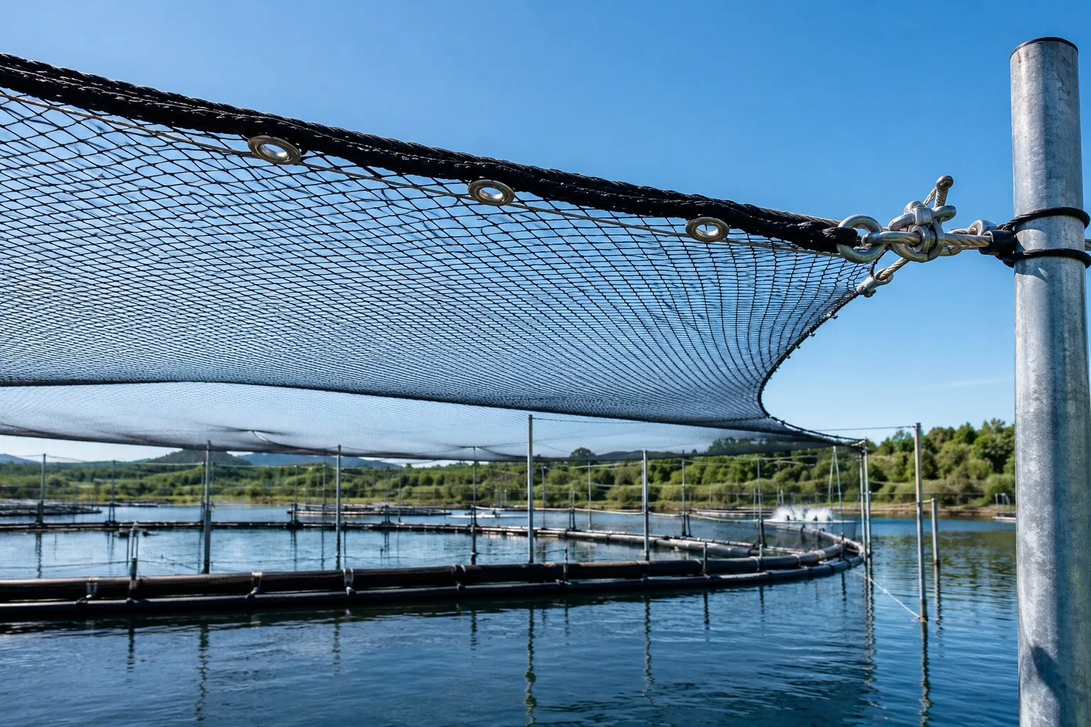 Anti-Predator & Pond Netting