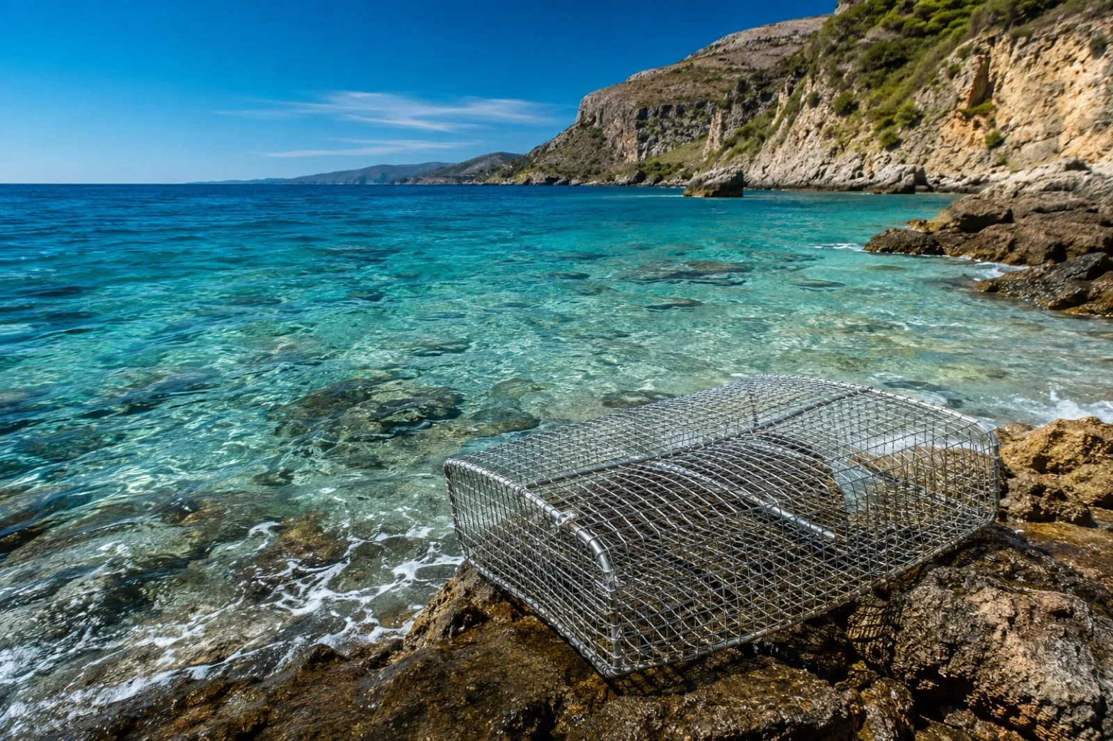Ocean Stewardship